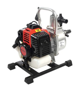 Palmera Qgz25-30a Su Motoru 1 2-zamanlı
