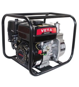 Palmera Pa250t Su Motoru 2 5.5hp